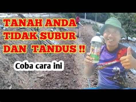 Cara Agar Tanah Subur Dan Gembur Fermentasi Lahan Youtube