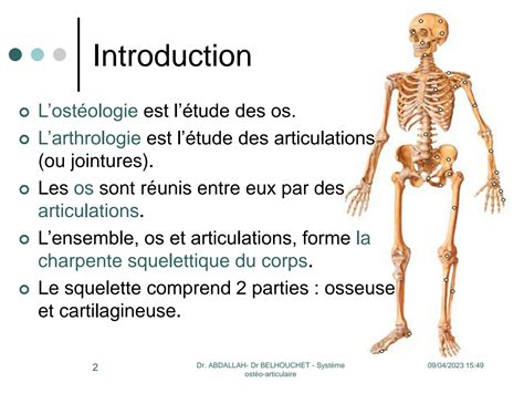 Solution Systeme Osteo Articulaire Anatomy Studypool