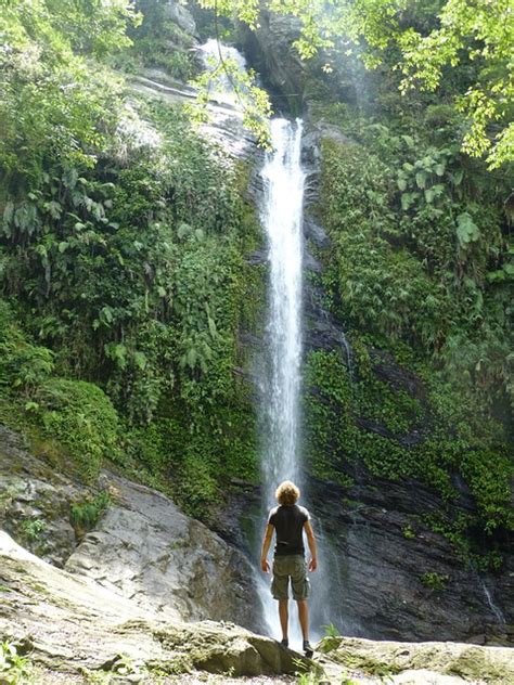 Waterfall Taiwan Jungle Free Photo On Pixabay