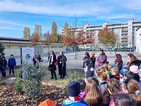 Piantato Un Bosco Didattico Nel Giardino Della Scuola Primaria