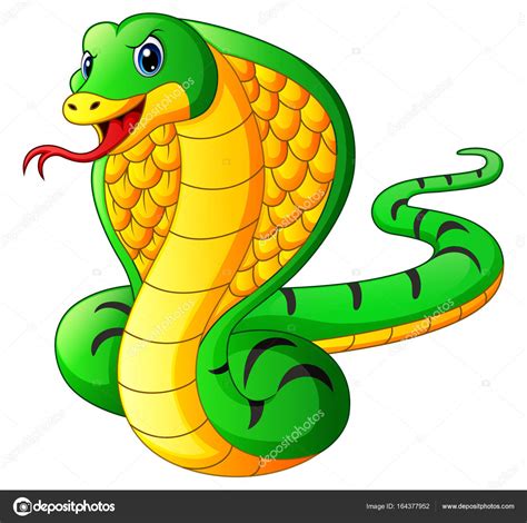 Cobra Snake Cartoon Vector Image By Dualoro Vector Stock 164377952