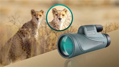 13 Best Monoculars For Surveillance In 2023 Techtouchy