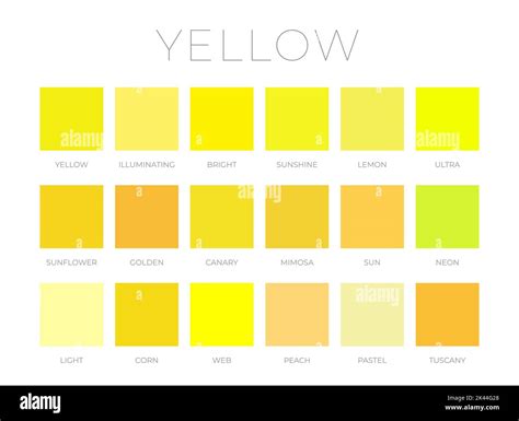 Yellow Color Shades Swatches Palette With Names Vector Image Ponasa