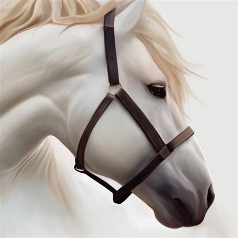 Horse Wallpaper HD: Themes - Apps on Google Play