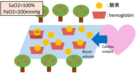 酸素を届ける：sao2とpao2の違い│医學事始 いがくことはじめ