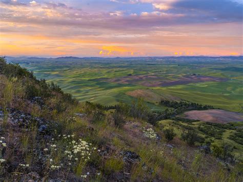 The Palouse Washington State Farmlands Fuji Gfx S Fine A Flickr