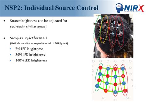 NeuroInsight