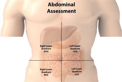 Physical Assessment Gi Reproductive