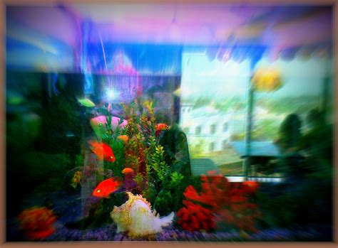 A Very Catchy Aquarium In A Malls Food Court Mall Food Court Food