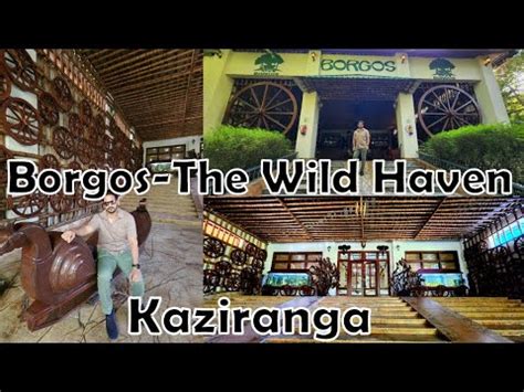 Stay At Borgos Resort The Wild Haven Assam Kaziranga Unwinding In The