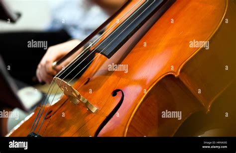 Violoncello Scroll Music Background Hi Res Stock Photography And Images