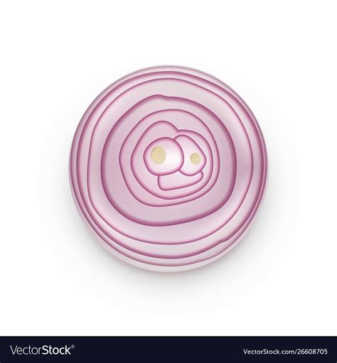 Onions Slices Clipart