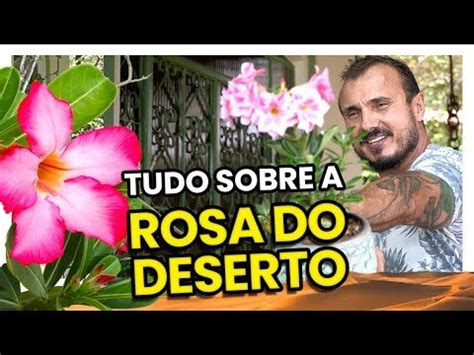 Tudo Sobre A Rosa Do Deserto Saiba Como Cuidar E Replantar Youtube