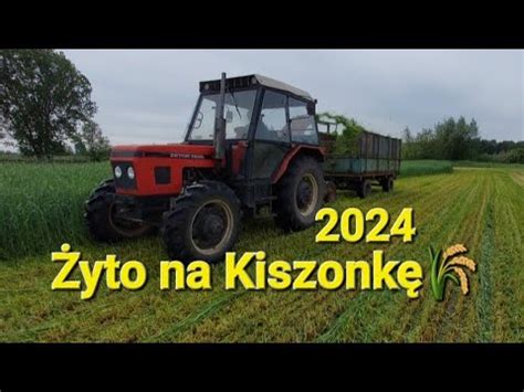 Yto Na Kiszonk Agro Braciazetor Massey Ursus C P W Akcji