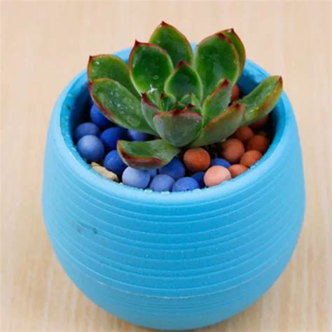 Pots De Fleurs Pour Plantes D Int Rieur Jardini Re R Sine Mini