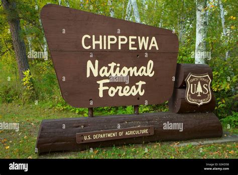 National Forest Sign File Kootenai National Forest Sign  Wikimedia Commons High Quality