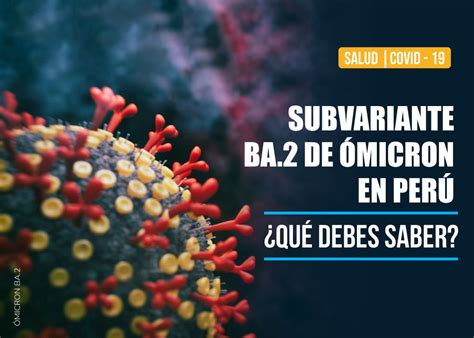 Subvariante BA 2 de Ómicron en Perú lo que debe saber Colegio