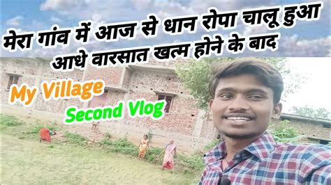 My Life Village Second Vlogs Mera Gaw Me Dhan Ropa Shuru Aaj Se Hi