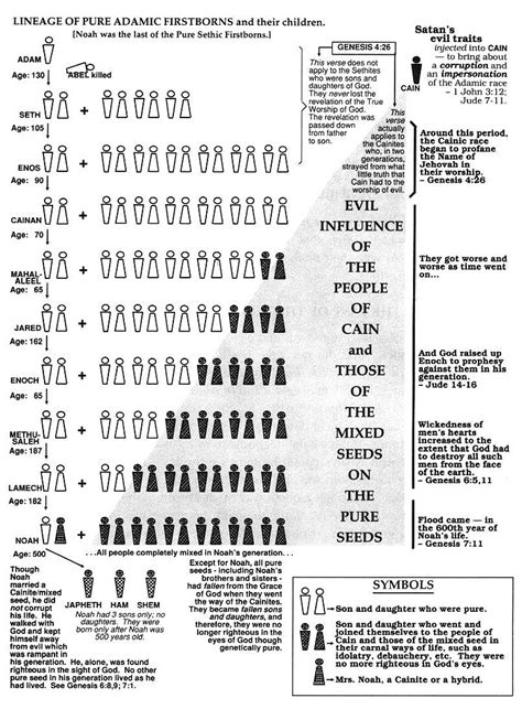 The Doctrine Of The Original Sin And The Doctrine Of The Serpent Seed2