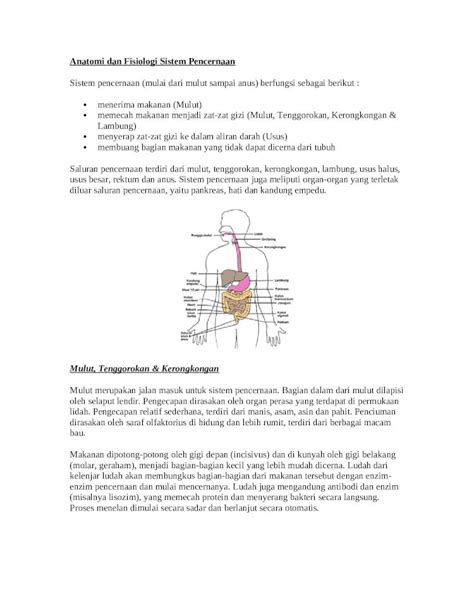 DOC Anatomi Dan Fisiologi Sistem Pencernaan DOKUMEN TIPS