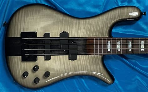 Basses - Spector - USA - Bass Central