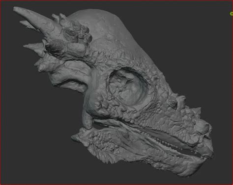 Pachycephalosaurus skull : r/Paleoart