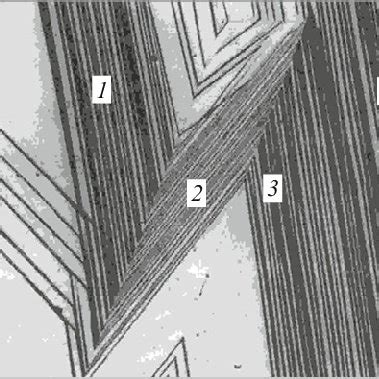 Structure of martensite obtained in steel 62Kh2N22 at a temperature of ...