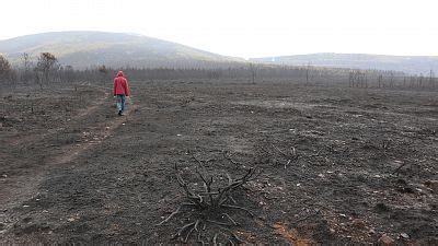 Manifestacion En Zamora Tras Incendio Sierra Culebra