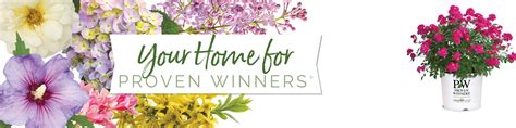 Your Home For Proven Winners Shrubs Signage Proven Winners