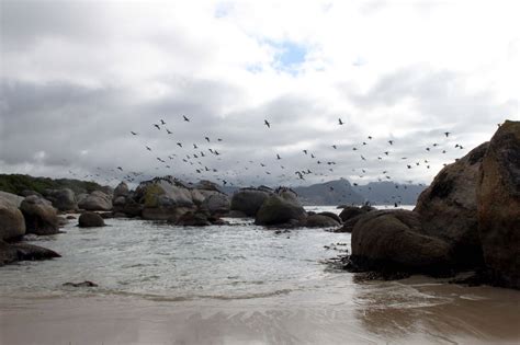 Boulders Beach | TRAVELS WITH TAM