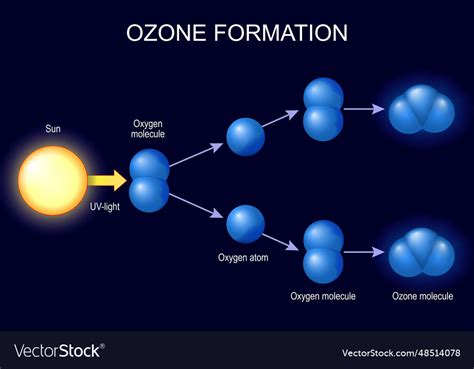 Ozone formation Royalty Free Vector Image - VectorStock