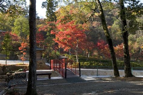 大本山永平寺御直末寺 光明寺の紅葉画像3枚目 ｜紅葉名所2024