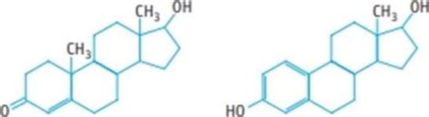 The Structures Of The Sex Hormones Testosterone A Male Sex Hormone And Estrogen A Female Sex