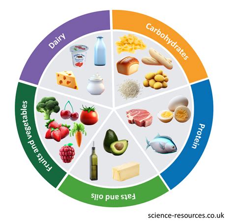 Science Resources Food Energy