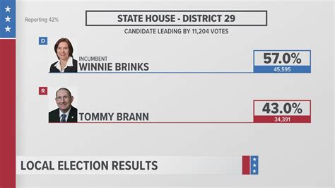 Michigan Election Results | State House, Senate races | wzzm13.com