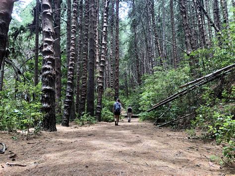Hiking through Costa Rica's Irazú Volcano National Park