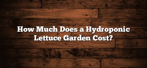 How Much Does A Hydroponic Lettuce Garden Cost Inter Culturalu