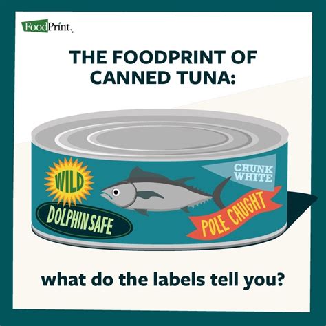How to Read & Decipher Canned Tuna Labels - FoodPrint 