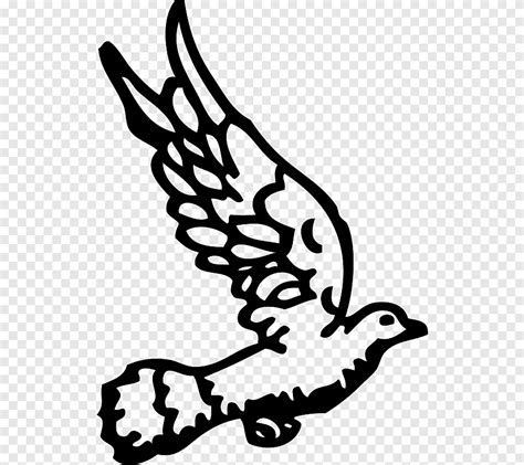 Columbidae Computer Icons White Dove Leaf Monochrome Png Pngegg