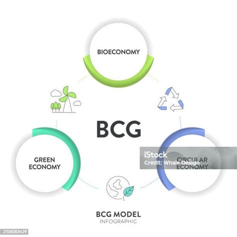 Bcg Model Strategy Infographic Diagram Chart Banner Template For