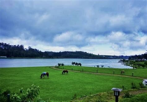 Gregory Park Lake Gregory In Nuwara Eliya Of Sri Lanka