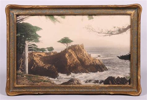 Point Lobos Monterey Cypress Tinted Photo C1910 California Historical