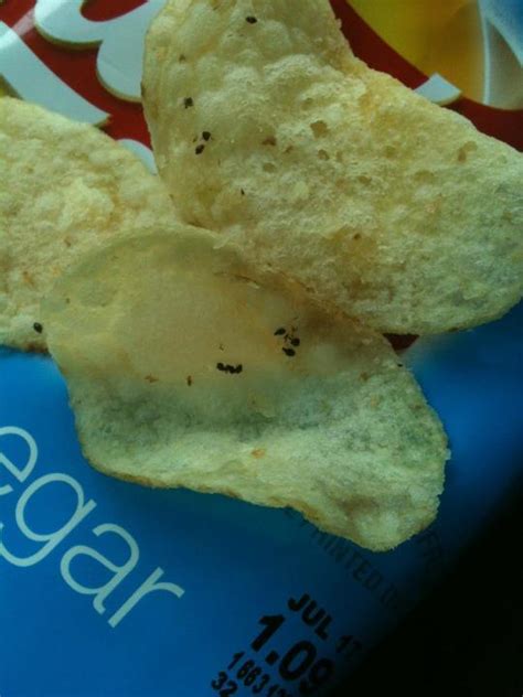 Ants In A Sealed Lays Chip Bag Found Thousands Of Dead Ants At The Bottom Of A Sealed Salt And