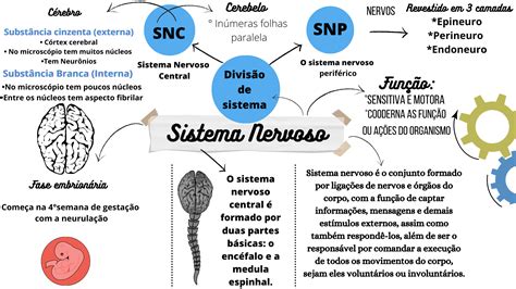 Mapa Mental Sistema Nervoso Enfermagem