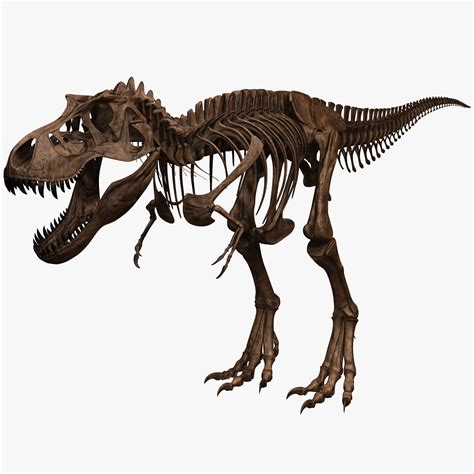Знаменитый T.Rex. Охотник или падальщик? | Пикабу