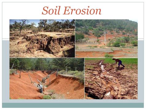 Soil Erosion презентация онлайн