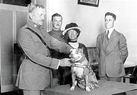 Meet Sgt. Stubby, the original war dog - Business Insider