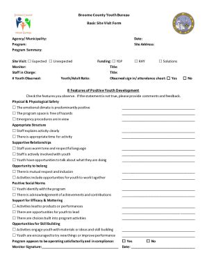 Fillable Online Broome County Youth Bureau Basic Site Visit Form Fax