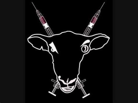 Sheep On Drugs Fuck This YouTube