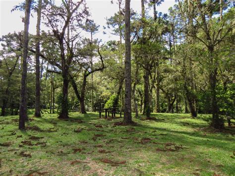 O Que Fazer Em Campos Do Jord O Atra Es